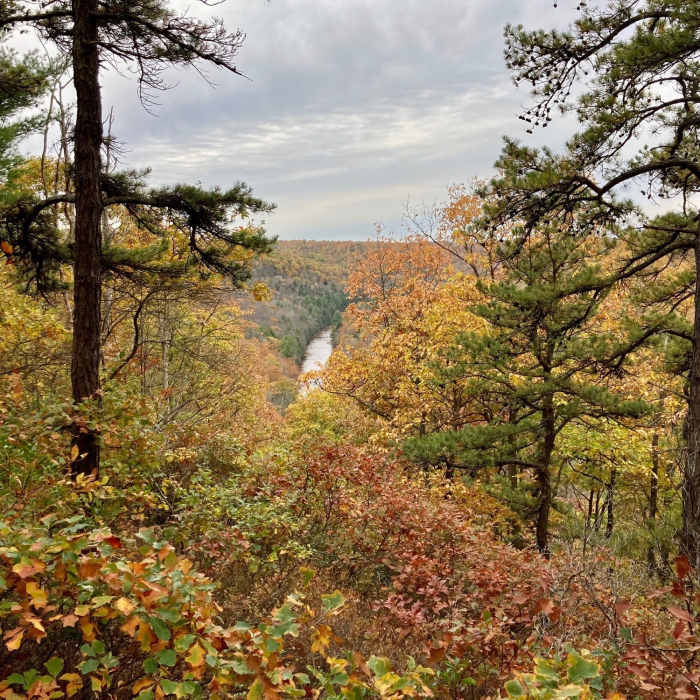 Near Snow Shoe Rail Trail