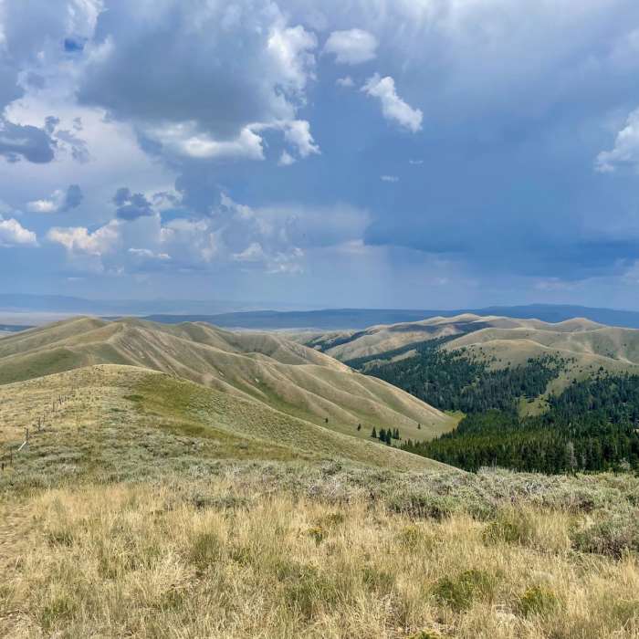 Near Continental Divide Trail: Montana-Idaho Section 5