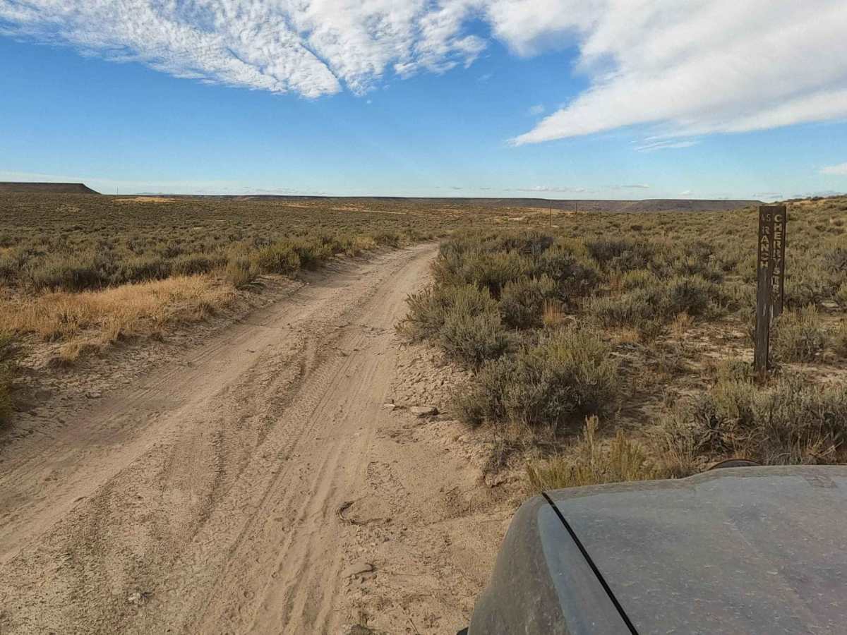 Crutcher's Crossing Cherrystem photo 4