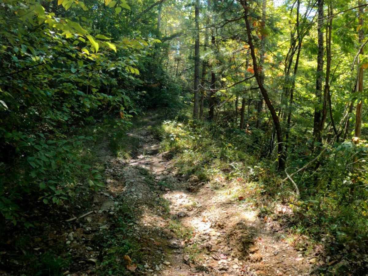 Wentworth School Rd trail photo