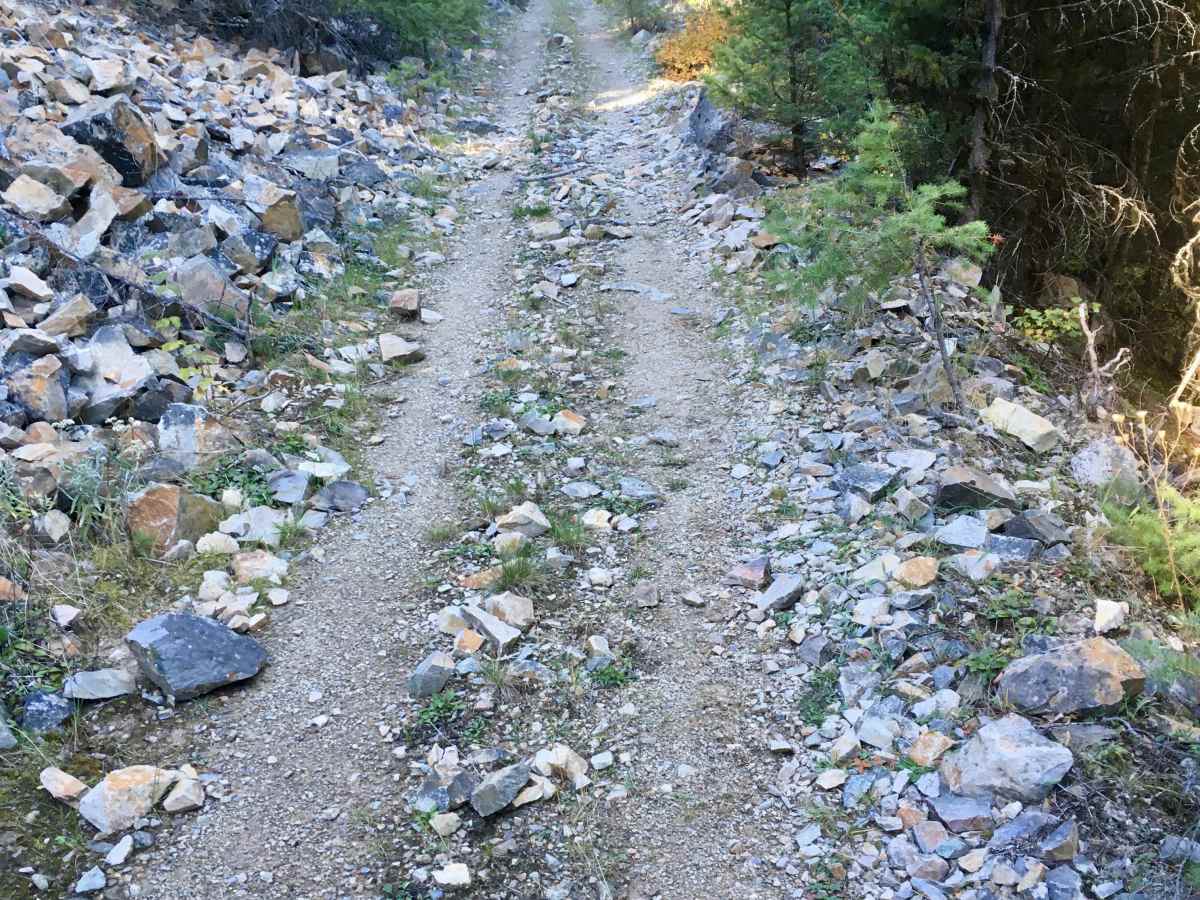 Overwhich Creek ATV Trail photo 5