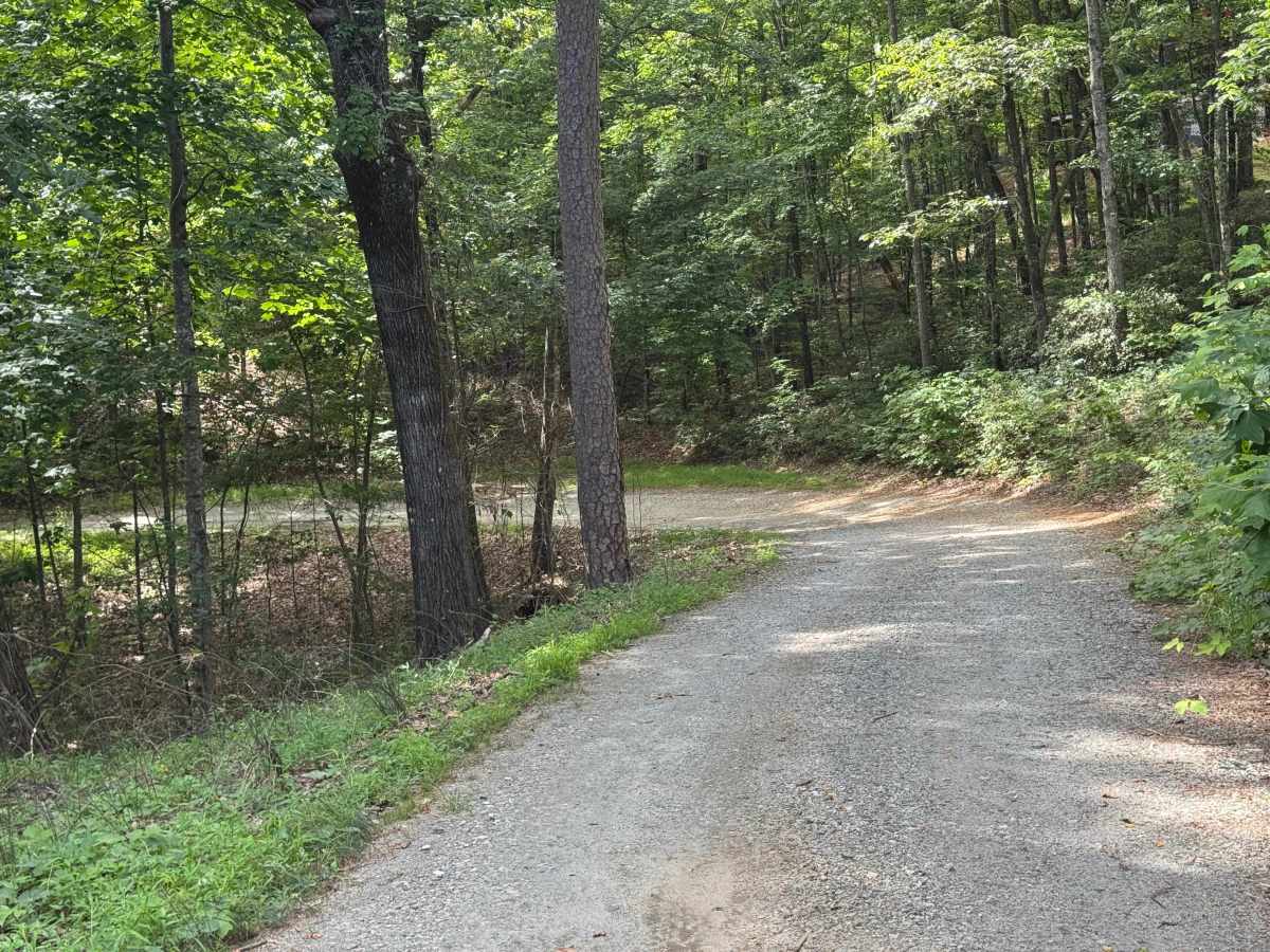 Stonewall Creek - FS 20 photo 4