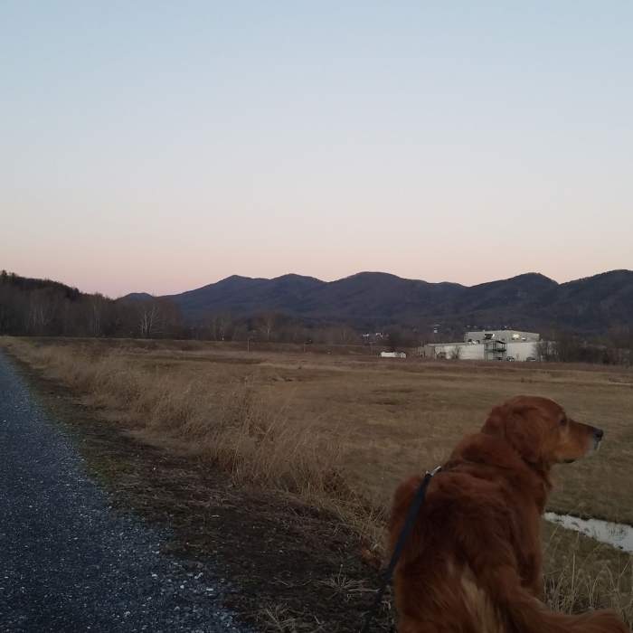 The southern end of the Maury River Walk. Beautiful Views all along the path. Near Maury River Walk