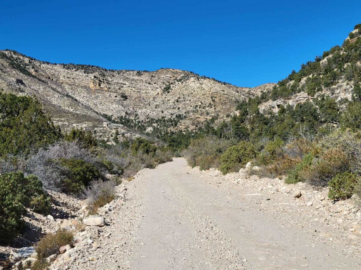 Apex Mine Road photo 5
