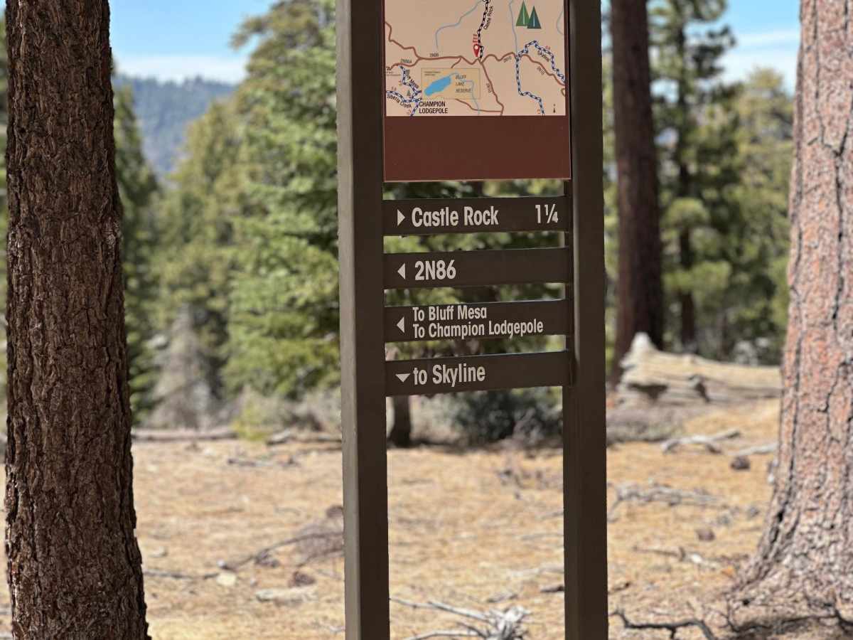 Kidd Creek - FS 2N86 photo 4