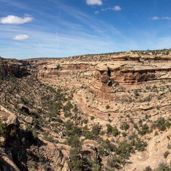 View into Slickhorn Canyon before you start your descent to the canyon wash. Near Slickhorn Canyon