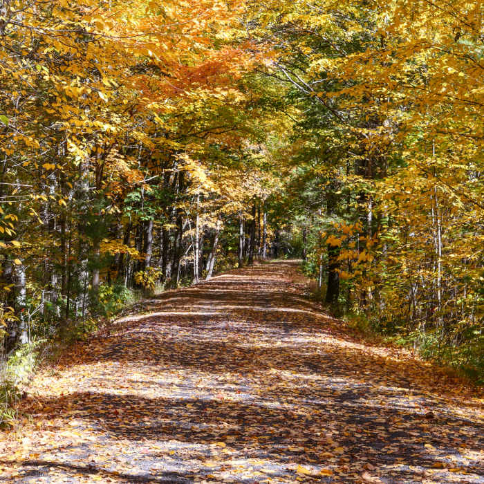Ashokan Rail Trail Near Ashokan Rail Trail