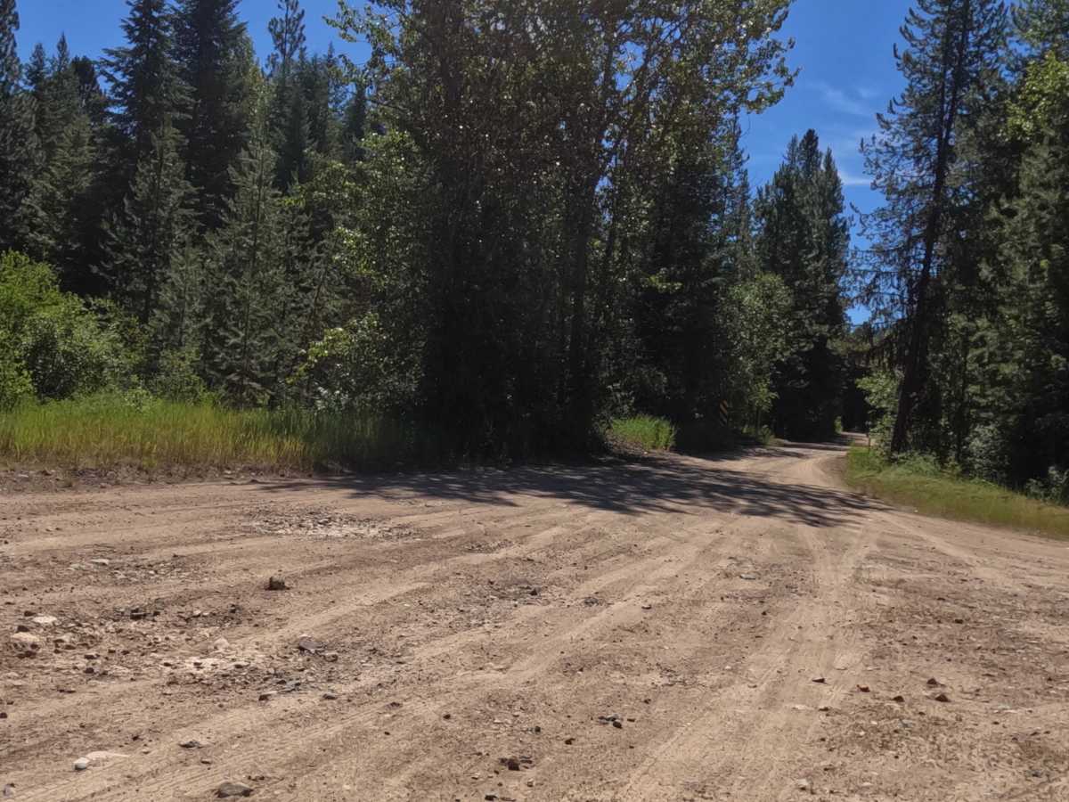 South Fish Creek - FS 343 trail photo