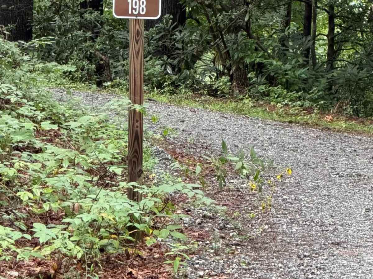 Chestnut Mountain - FS 198 trail photo