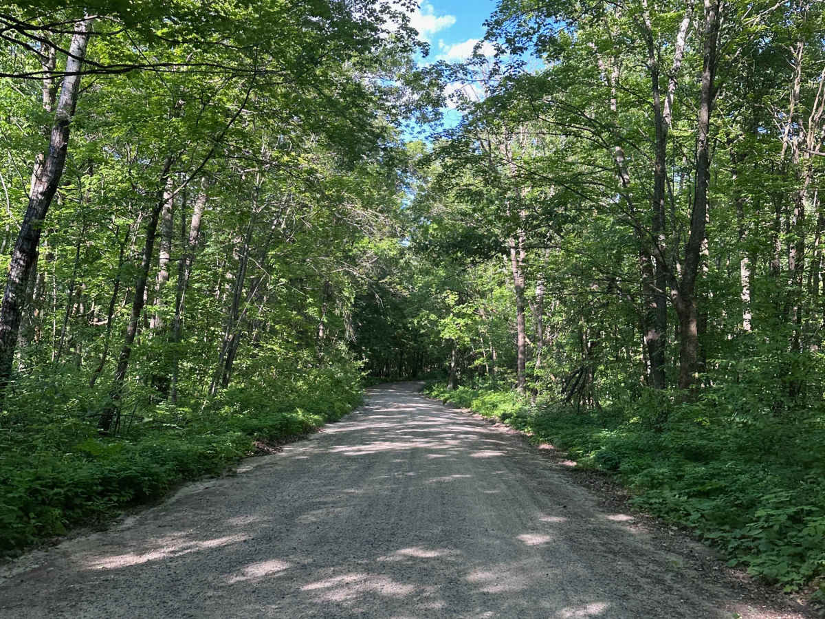 East Gulch Forest Ln photo 6