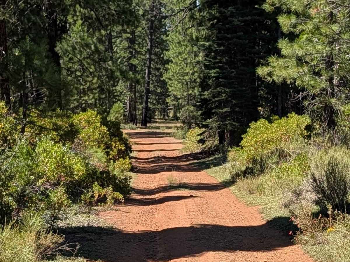 Bear Wallow East - FS 40N12 photo 2