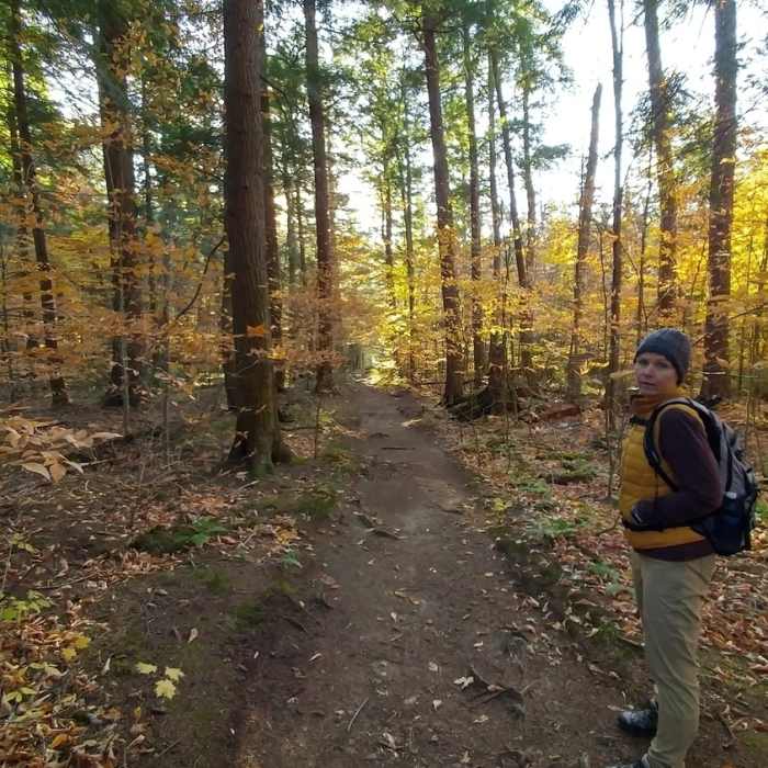 Near Ampersand Mountain Trail