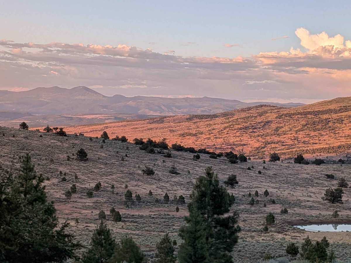 Mount Lively South Fork Mountain Road photo 4