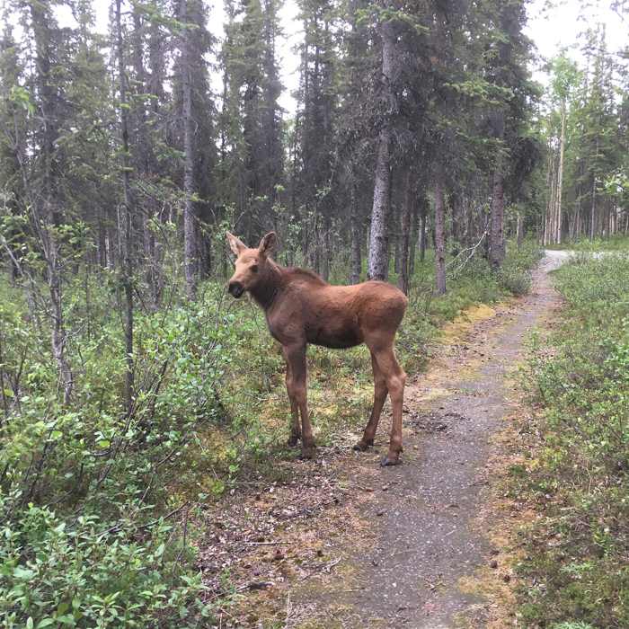 Near Bike Path