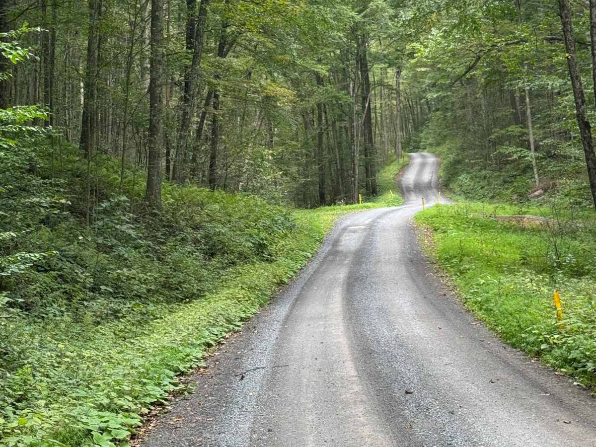 Brown Road photo 2