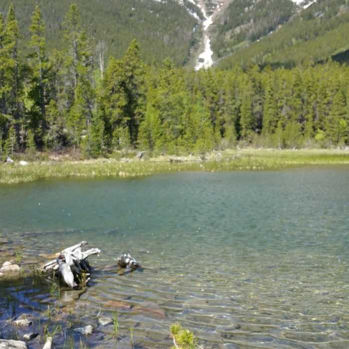 Near Three Elk Trail #1445