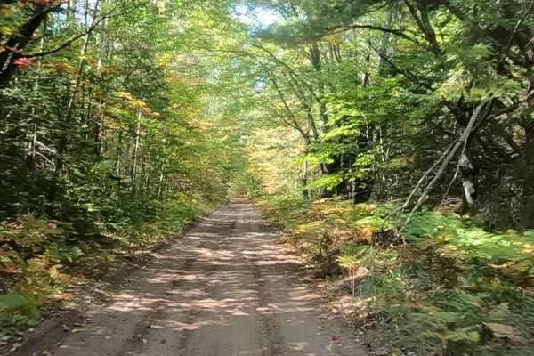 Hog Island Road - FS 3364 (ORV Route A) 