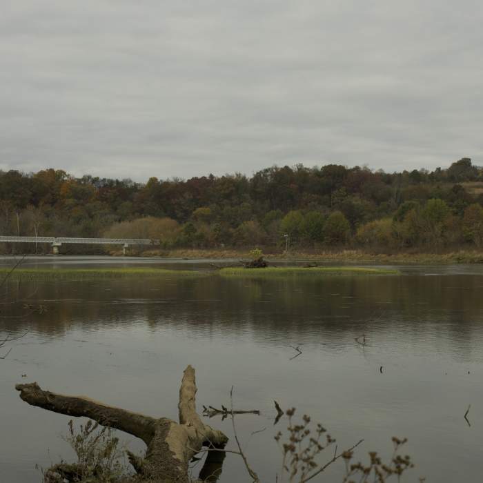 There are nice views of the French Broad River, bridge, and surrounding hills from the trail. Near Island Loop Trail