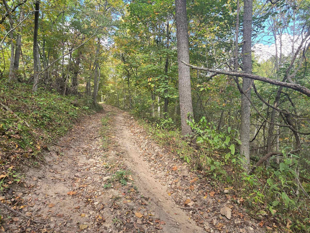 The Saddle photo 6