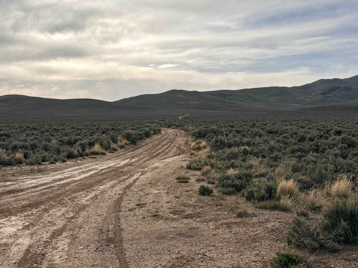 Emigrant Canyon - FS 43222 trail photo