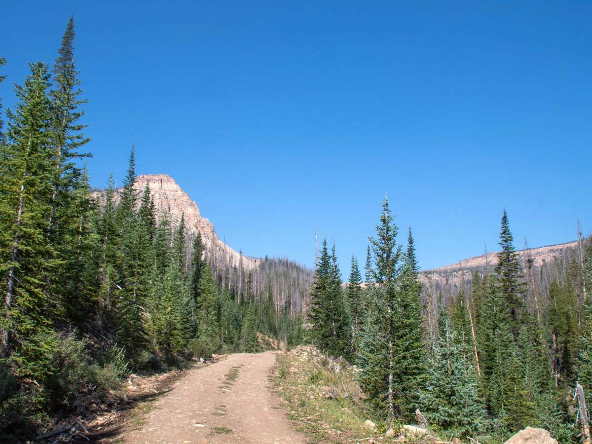 South Fork Rock Creek - FS 10143 photo 3