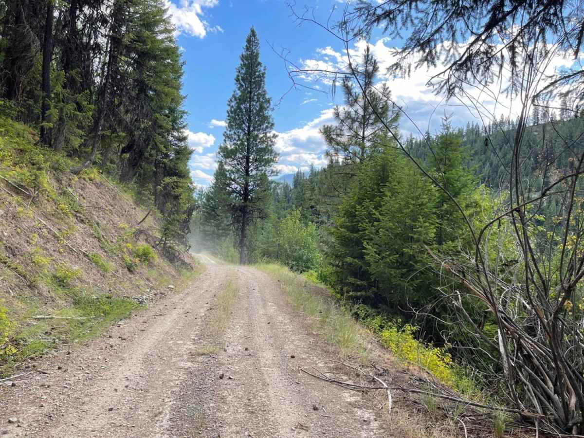 Williams Pass photo 4