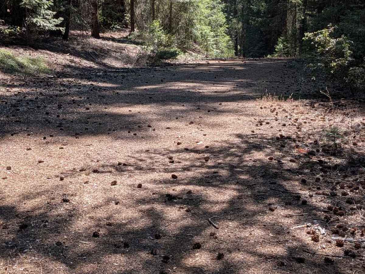 Plumb Road - FS 1N26  photo 4