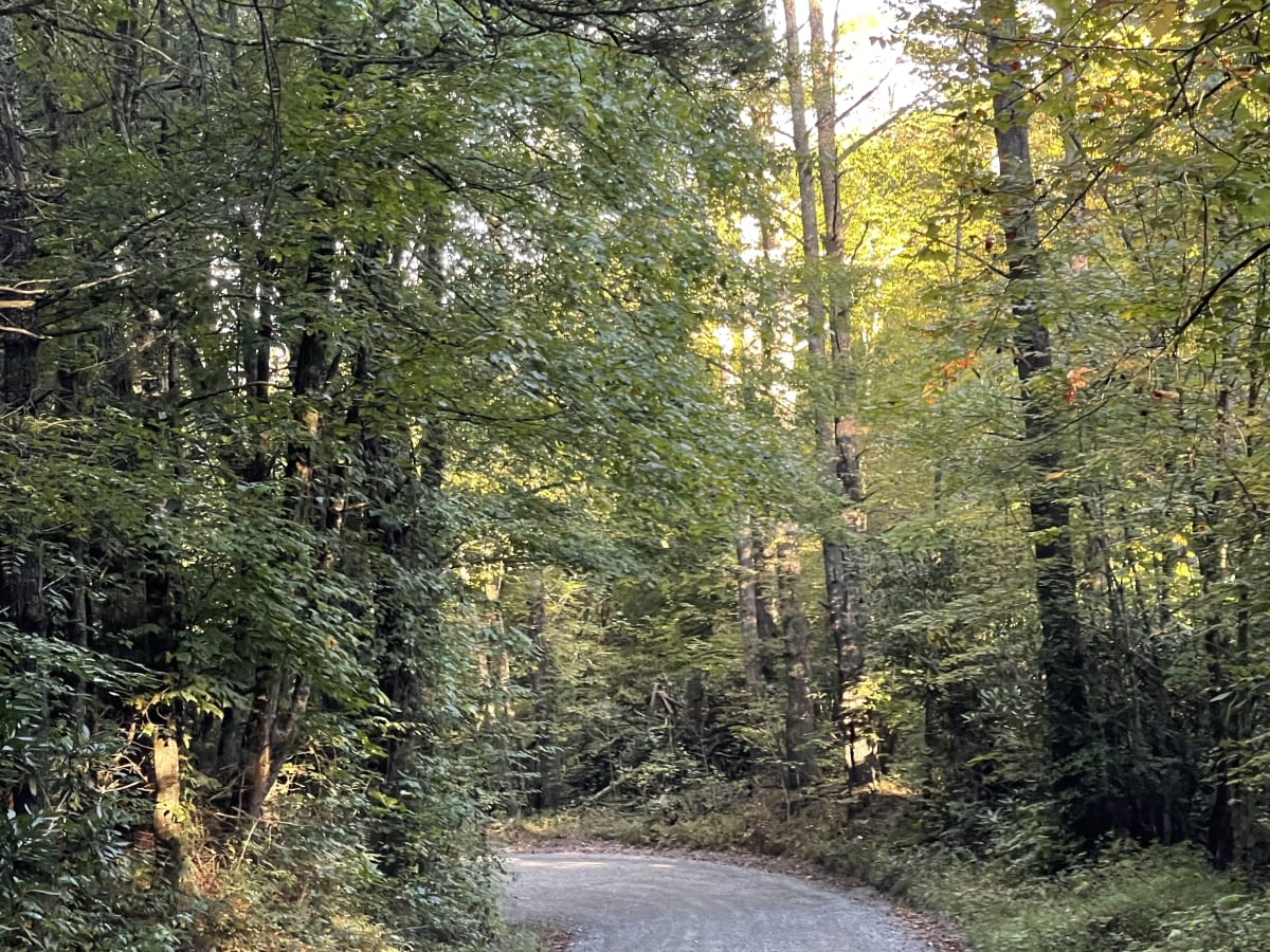 Laurel Creek Road photo 2