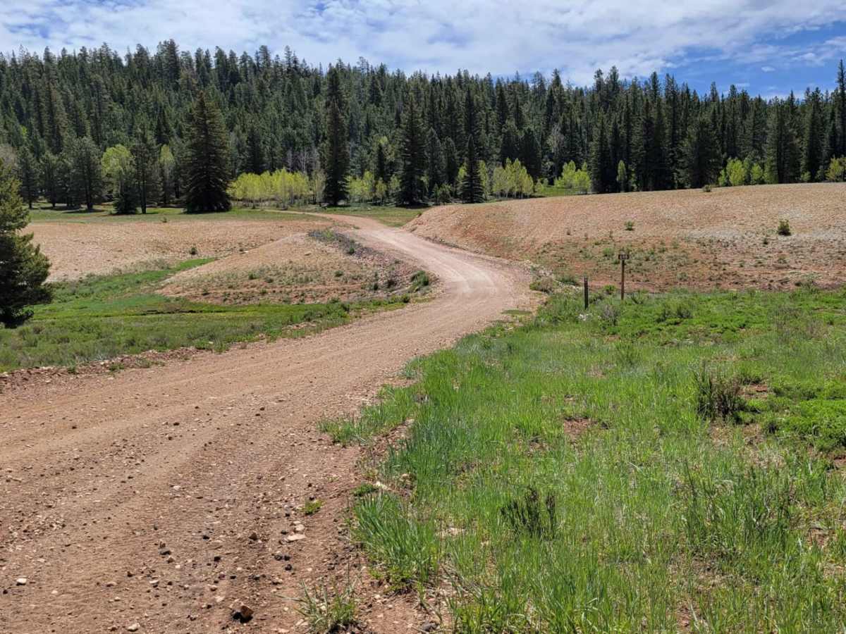 Billingsly Trail trail photo
