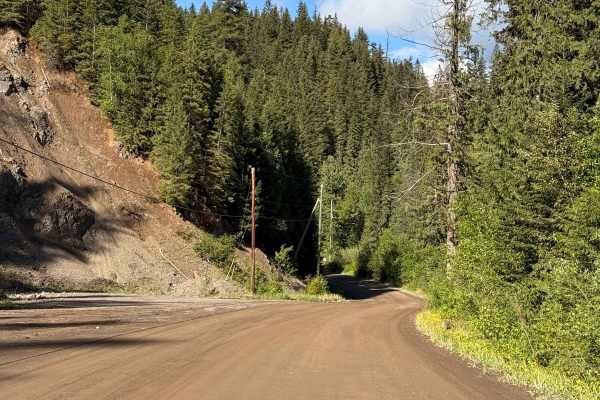 The Back Road