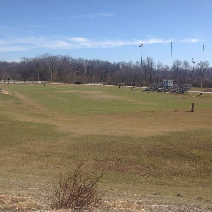 Main field in center of smaller upper loop Near Dames Park Figure 8