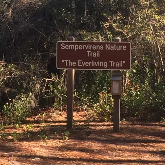Near Sempervirens Nature Trail