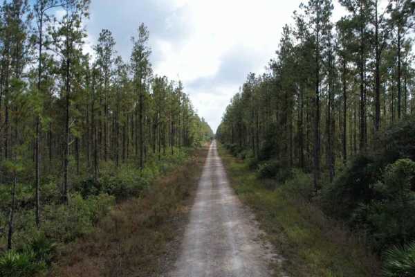 Gaston Road
