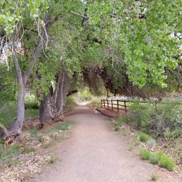 Near Fremont River Trail