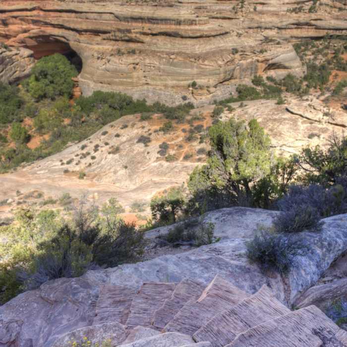 Near Kachina Bridge Trail