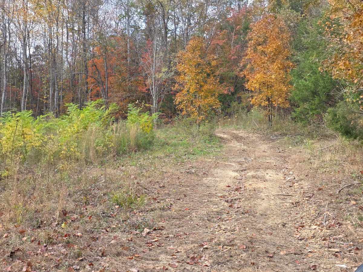 Field Loop photo 4