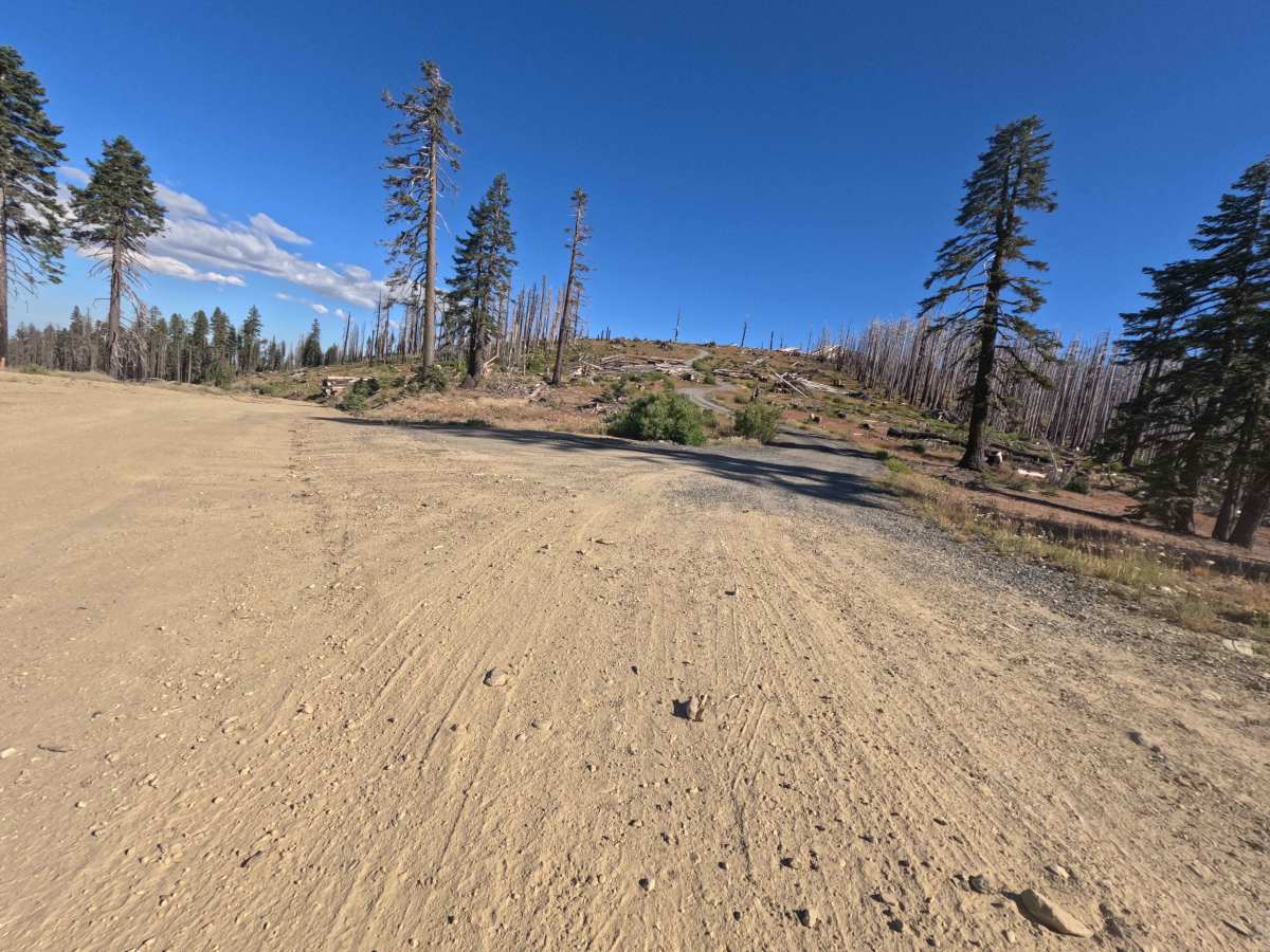 Boundary Road - FS 22N26 trail photo