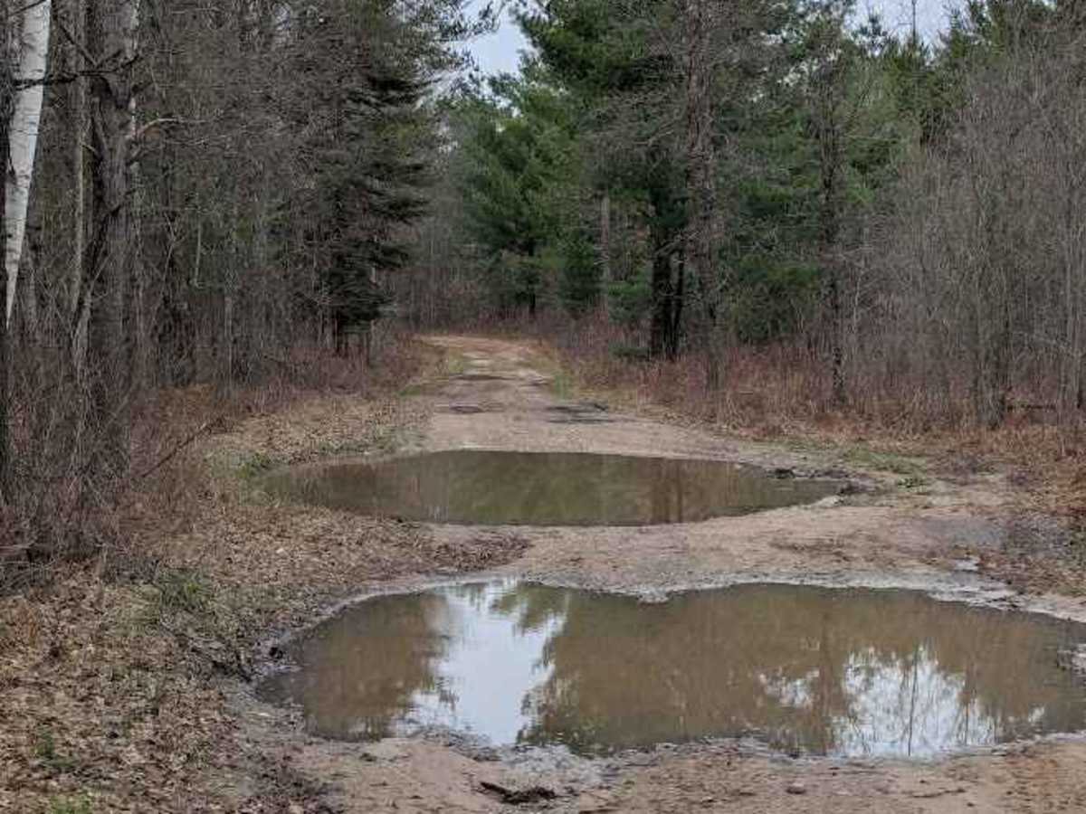 Osceola Trail North photo 2