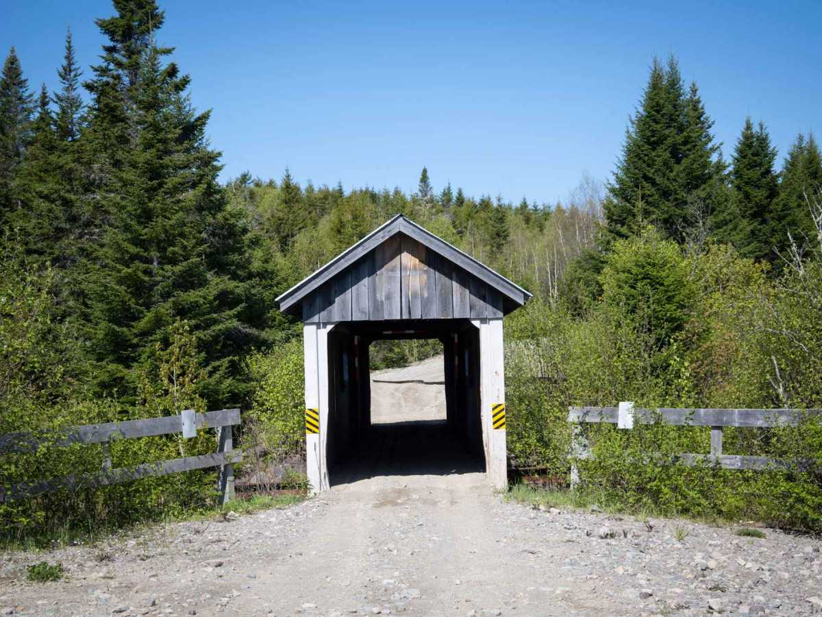 Crossroad Trail photo 3