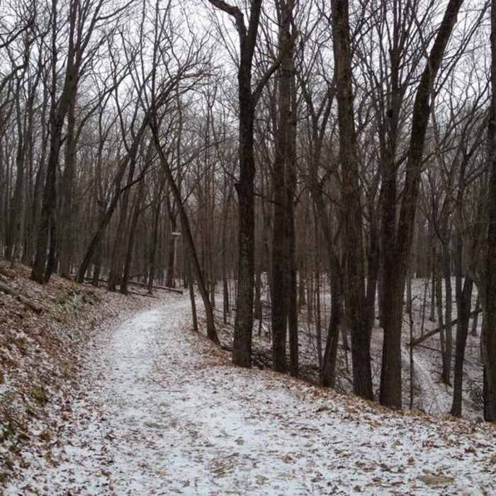 Trailrunning in the winter! Near Purple Loop
