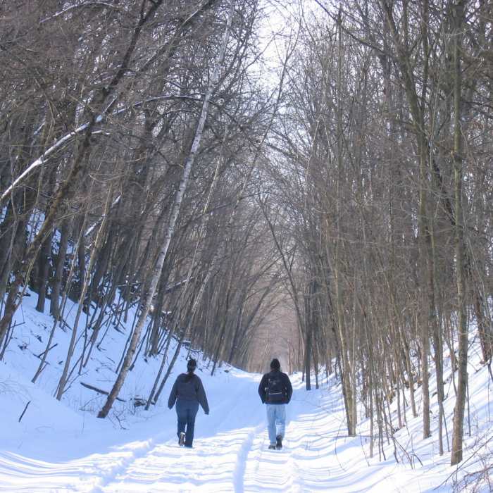 Near Galena River Trail - Galena Junction Segment