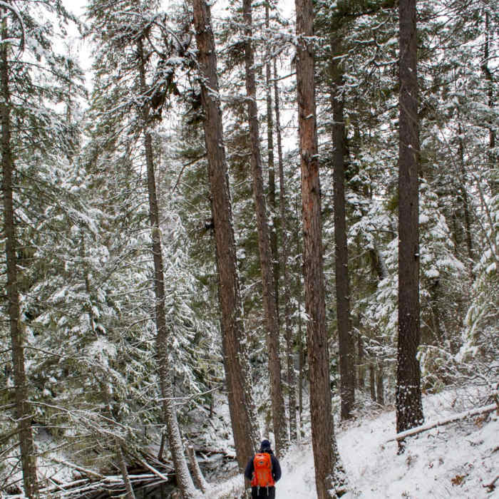 Near Stewardship Trail Near Stewardship Trail