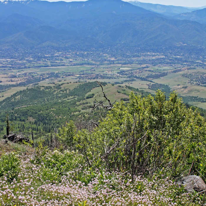 Near Grizzly Peak Loop Trail