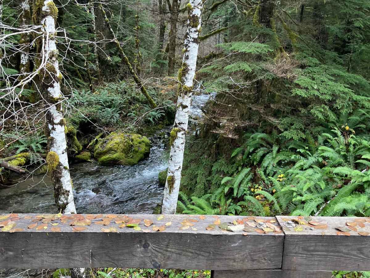 Mount Buldoc Memorial Plane Crash Site photo 3
