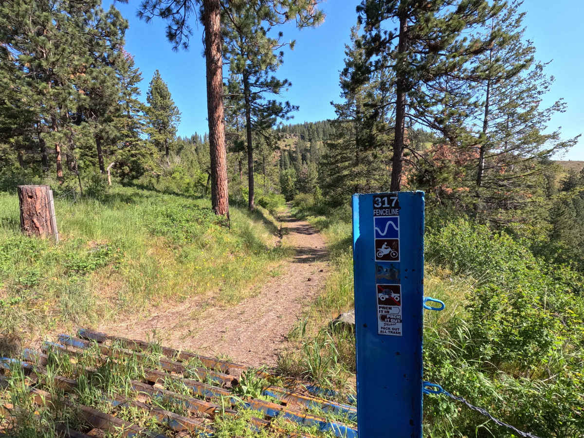 Fence Line - Trail 317 trail photo