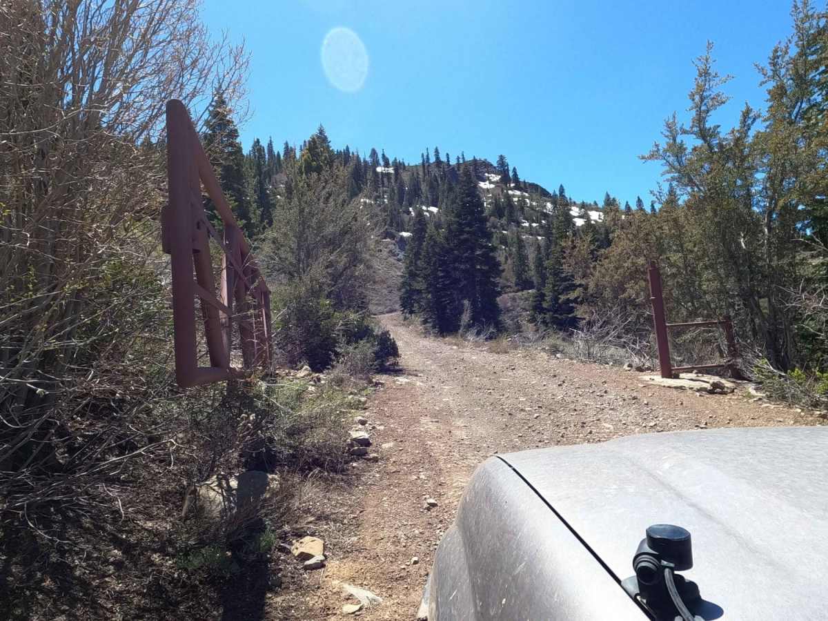 Sugarpine Spur A - NF22N55A photo 2