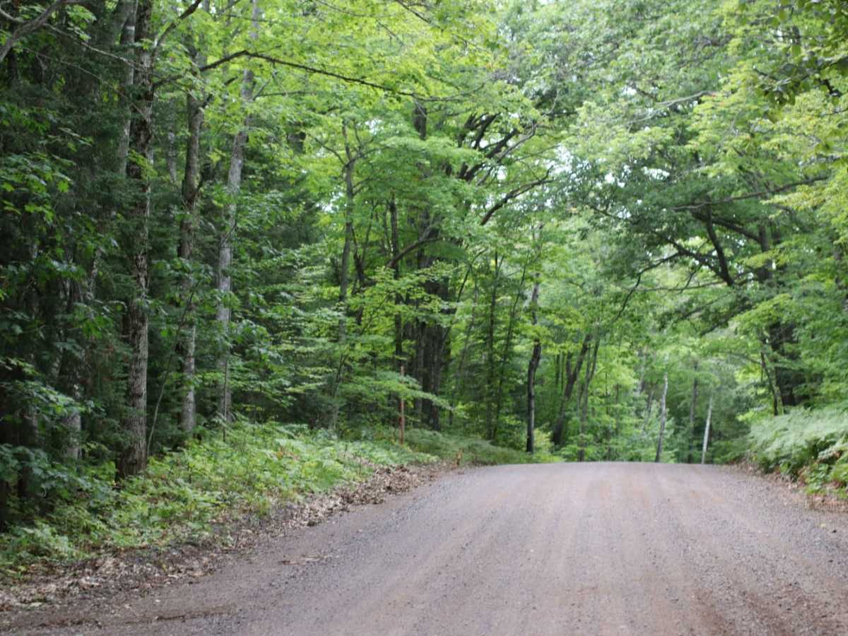 Garden Rd trail photo