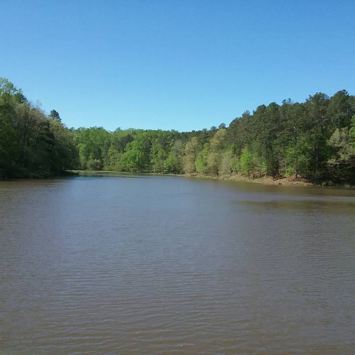 Reedy Creek Lake Near Turkey Creek/Cedar Ridge Loop