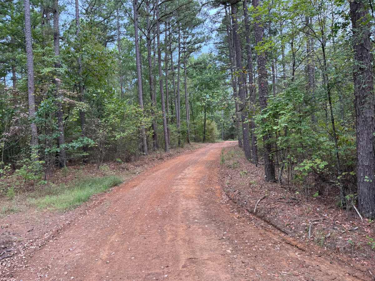 Hickory Grove photo 4