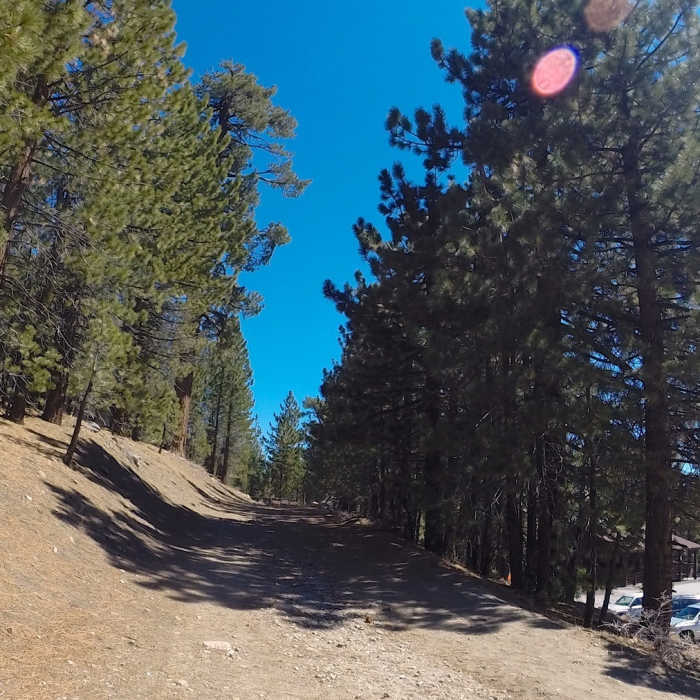 Near Mt. Pinos Road